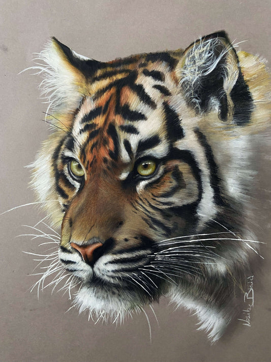 Custom Colored Pencil Pet Portraits, Hand Drawn Pet Portrait