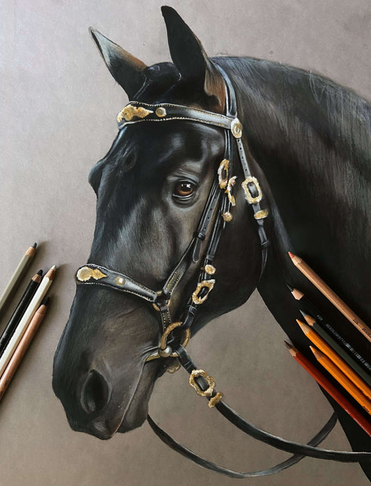 Custom Colored Pencil Pet Portraits, Hand Drawn Pet Portrait